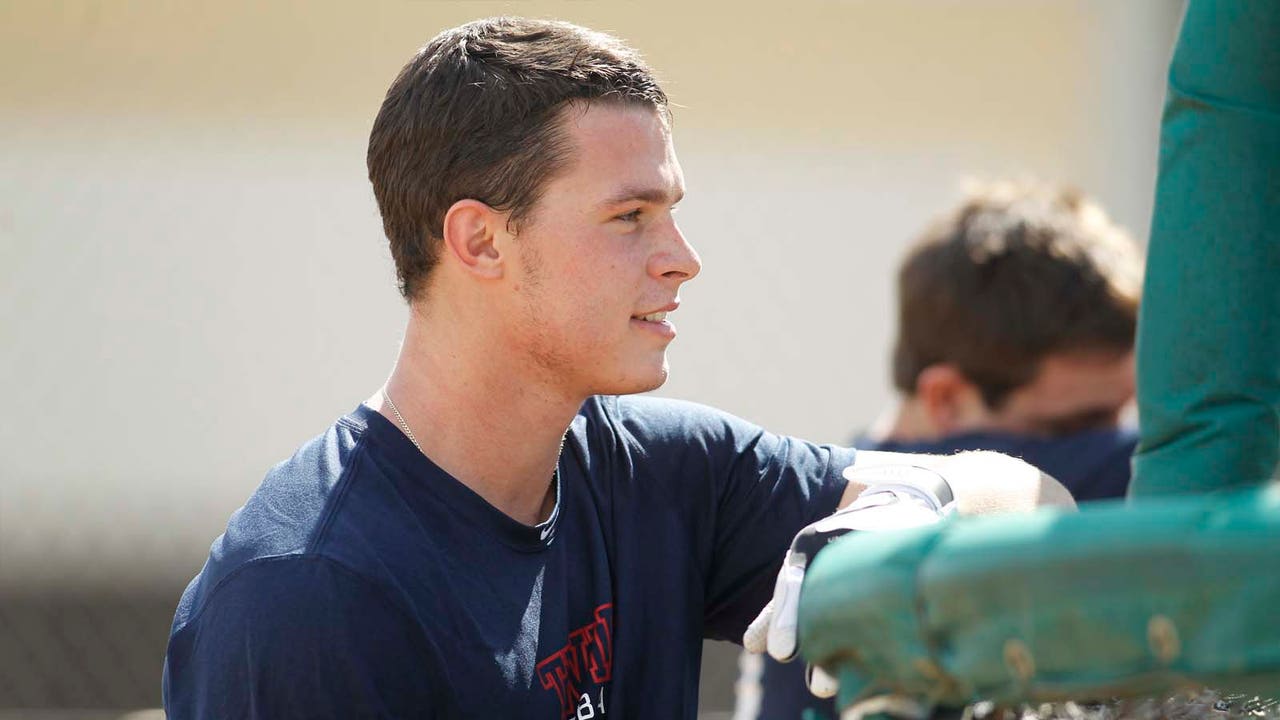 Twins minor-league stars of the week: July 31